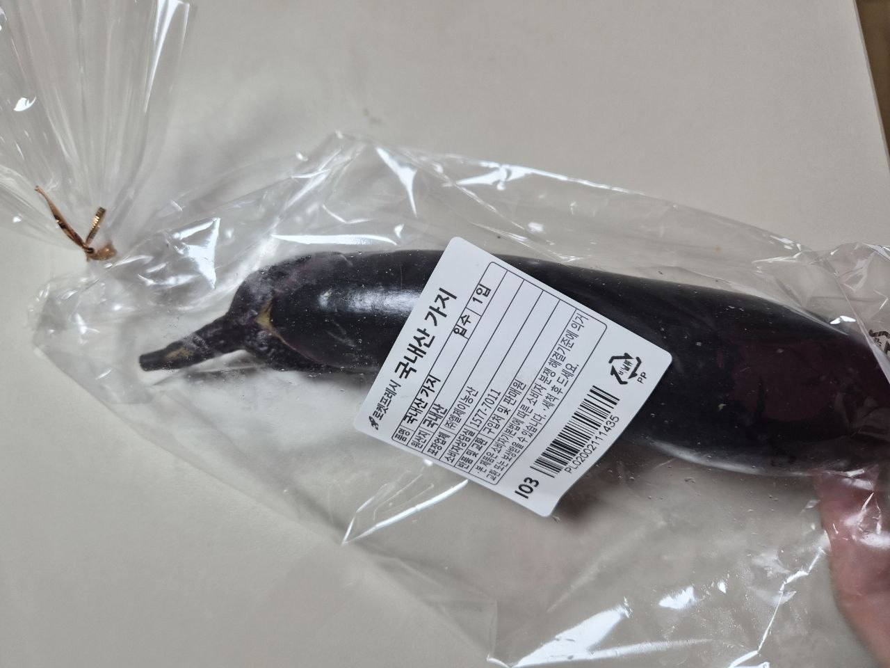 A single Korean eggplant in a clear plastic bag with a Coupang Rocket Fresh label